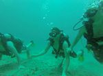 Hawaii Scuba divng 30