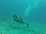 Hawaii Scuba divng 36