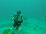 Hawaii Scuba divng 43