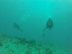 Hawaii Scuba divng 51