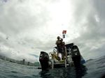 Hawaii Scuba divng 56