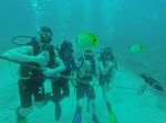 Hawaii Scuba divng 62