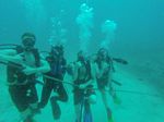 Hawaii Scuba divng 63