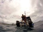 Hawaii Scuba divng 67