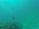 Hawaii Scuba divng 06