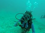 Hawaii Scuba divng 70