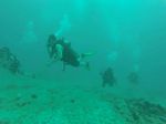 Hawaii Scuba divng 71