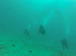 Hawaii Scuba divng 73