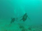 Hawaii Scuba divng 75