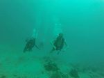 Hawaii Scuba divng 76