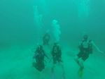 Hawaii Scuba divng 79