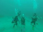 Hawaii Scuba divng 80
