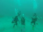 Hawaii Scuba divng 80