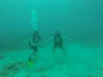 Hawaii Scuba divng 84