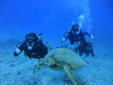 Scuba dive in Honolulu, hawaii