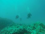 Hawaii Scuba divng 10