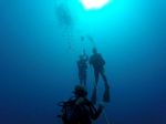 Hawaii Scuba divng 11