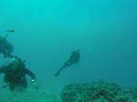 Hawaii Scuba divng 12