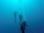 Hawaii Scuba divng 18