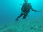 Hawaii Scuba divng 19