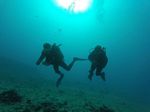 Hawaii Scuba divng 22