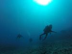 Hawaii Scuba divng 24