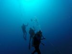 Hawaii Scuba divng 25