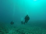 Hawaii Scuba divng 26