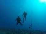 Hawaii Scuba divng 28