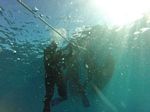 Hawaii Scuba divng 29