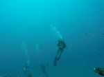 Hawaii Scuba divng 39