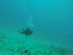 Hawaii Scuba divng 03