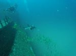 Hawaii Scuba divng 46