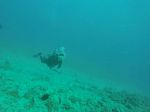 Hawaii Scuba divng 04