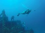 Hawaii Scuba divng 51