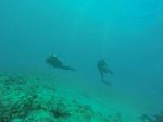 Hawaii Scuba divng 05