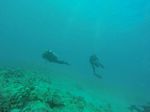 Hawaii Scuba divng 05