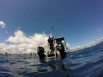 Hawaii Scuba divng 69