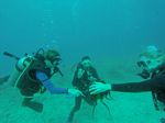 Hawaii Scuba divng 06