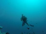 Hawaii Scuba divng 81