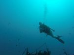 Hawaii Scuba divng 82