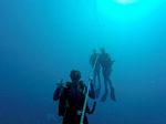 Hawaii Scuba divng 87