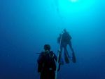 Hawaii Scuba divng 88