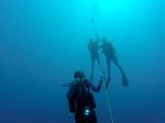 Hawaii Scuba divng 91