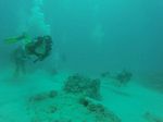 Hawaii Scuba divng 11