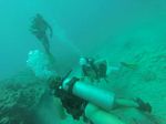 Hawaii Scuba divng 13