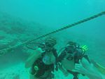 Hawaii Scuba divng 17