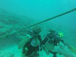 Hawaii Scuba divng 17