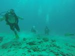 Hawaii Scuba divng 19