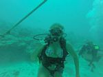 Hawaii Scuba divng 20